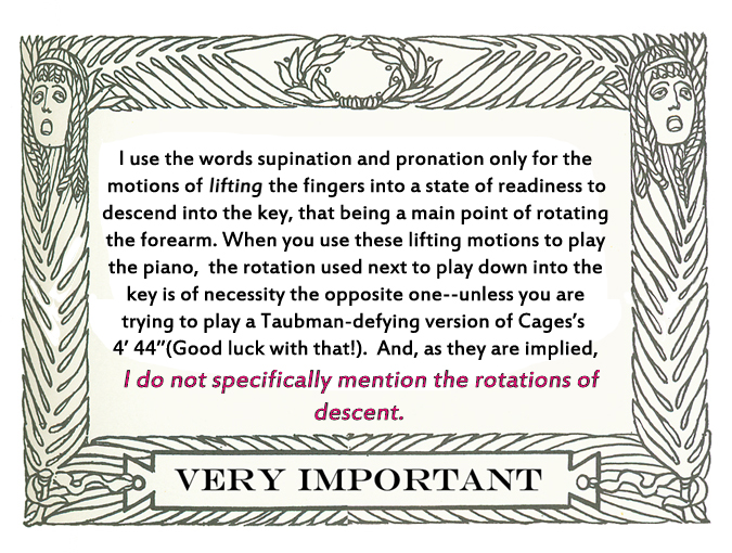 I use the words supination and pronation <em>only</em> for the motions of<em> lifting    the fingers </em>into a state of readiness to descend into the key, that being    a main point of rotating the forearm. When you use these lifting motions <em>to play the piano,</em> the rotation used next    to play down into the key is of necessity the opposite one--</strong>unless you    are trying to play a Taubman-defying version of Cage&rsquo;s 4&rsquo; 44!&rdquo; (Good luck with that!) And, as they are    implied, I do not specifically mention the rotations of descent.